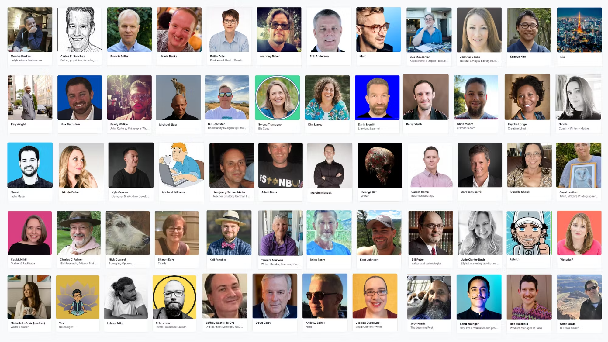 A wall of Tana Fast Track student profiles — writers, coaches, teachers, researchers, product managers and indie makers from around the world